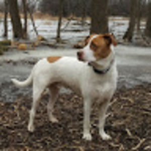 Meet your Posher, Scott